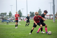 U12 Boys Muscatine