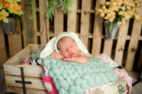 Carter- Newborn